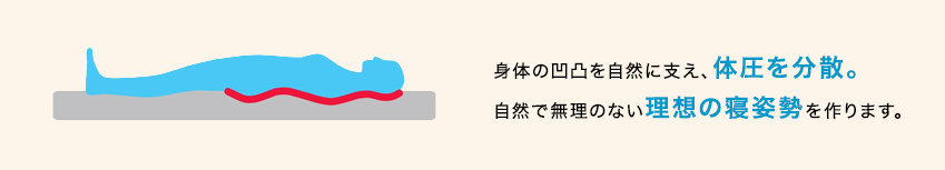 身体の凹凸を自然に支え、体圧を分散。自然で無理のない理想の寝姿勢を作ります。